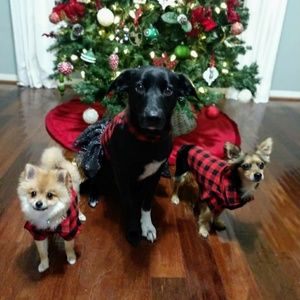 Meet your Posher, Yazmin